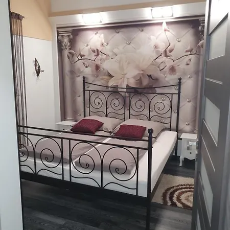 Apartment Swetok